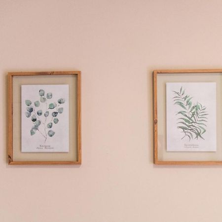 Sao Lazaro'S Garden - Apartment With Terrace ポルト エクステリア 写真